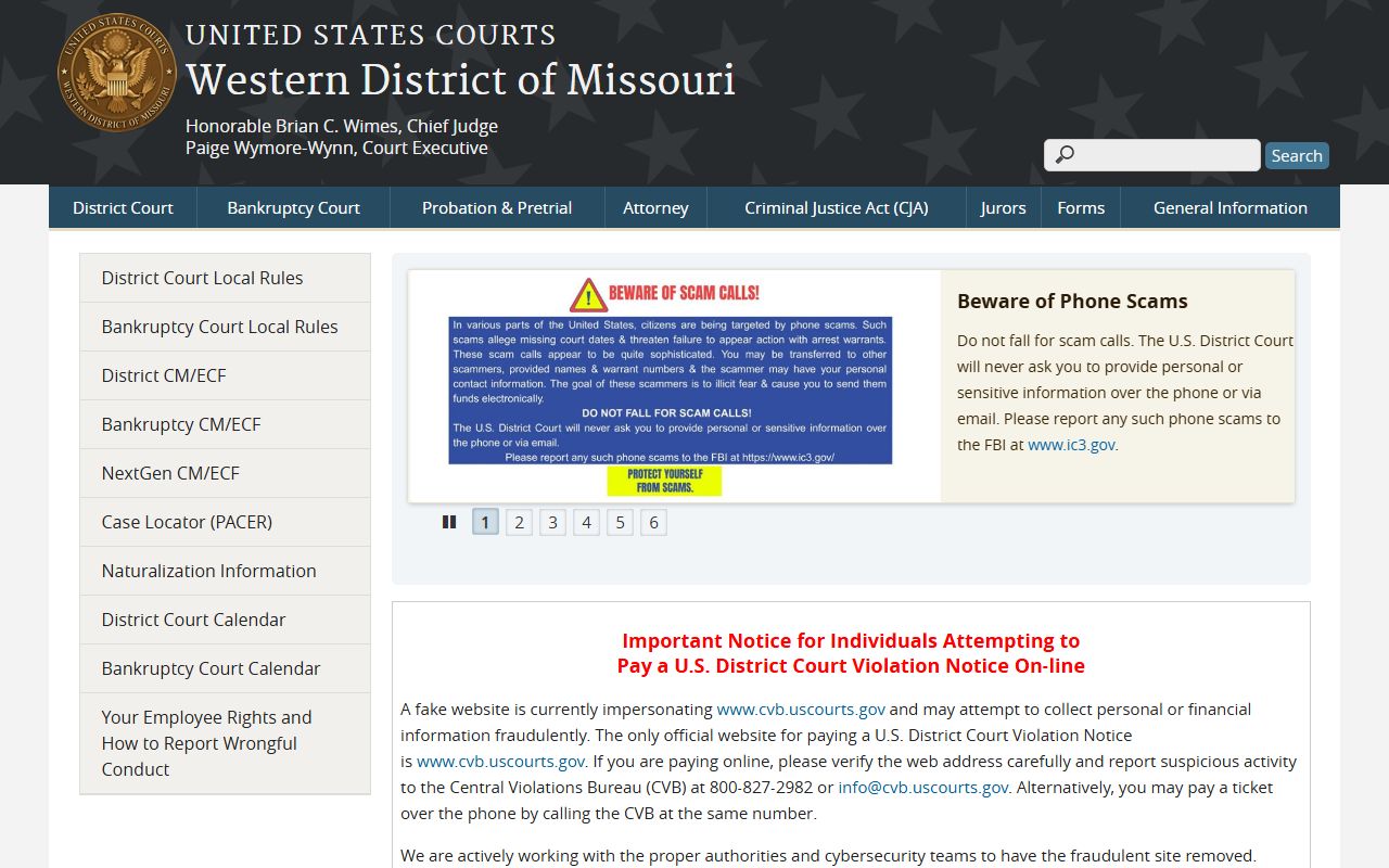 Pulaski County Circuit Court and federal district court record distinction
